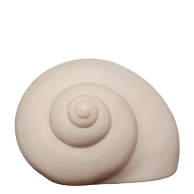 Turban Shell Cremation Urn