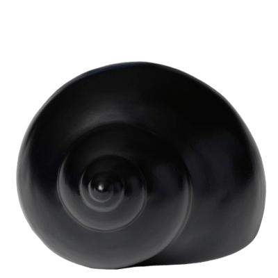 Turban Shell Medium Urn