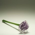 Violet Blossom Glass Cremation Keepsake