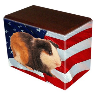 US Flag Walnut Pet Picture Urn III