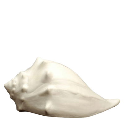 Whelk Shell Cremation Urn