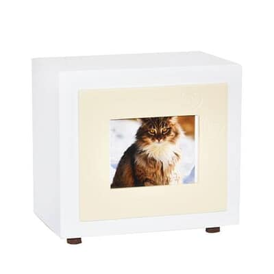 Beige Paw Large Photo Pet Urn