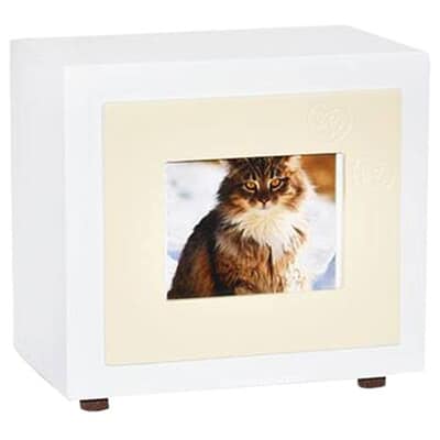 Beige Paw Large Photo Pet Urn