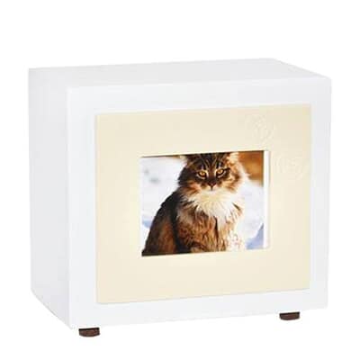 Beige Paw Small Photo Pet Urn