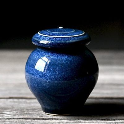 Blue Planet Small Cremation Urn
