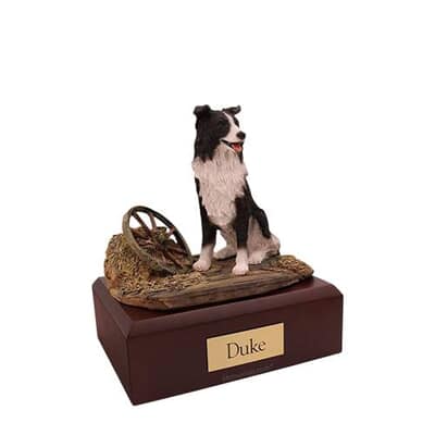 Border Collie Medium Dog Cremation Urn
