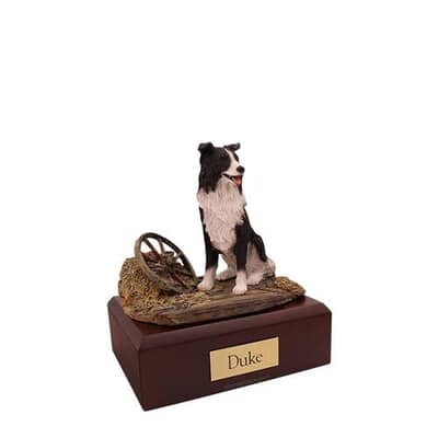 Border Collie Small Dog Cremation Urn