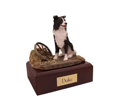 Border Collie X Large Dog Cremation Urn