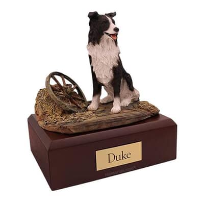 Border Collie X Large Dog Cremation Urn