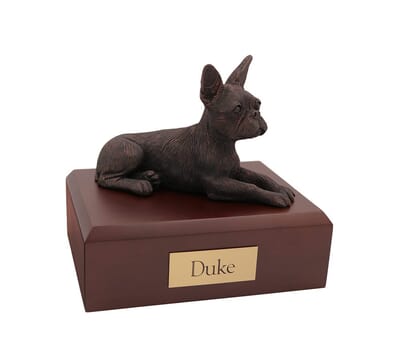 Boston Terrier Bronze Medium Cremation Urn