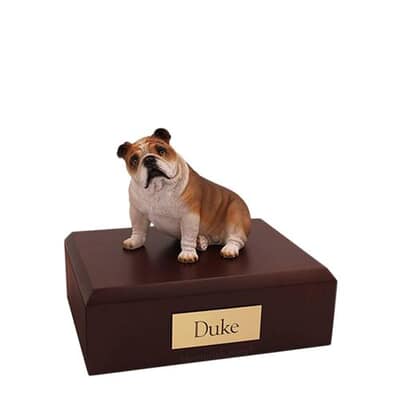 Bulldog Fawn Small Dog Urn