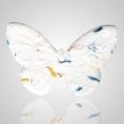 Butterfly Forget Me Not Seeds Remembrance