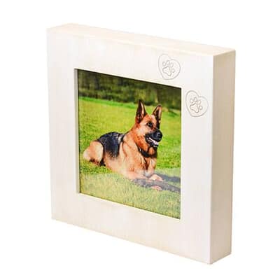 Chic Small Photo Frame Cremation Urn