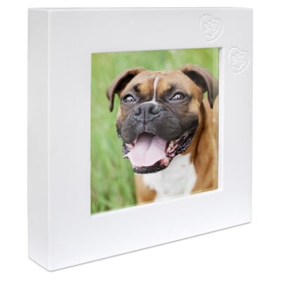 Classic White Large Photo Frame Cremation Urn