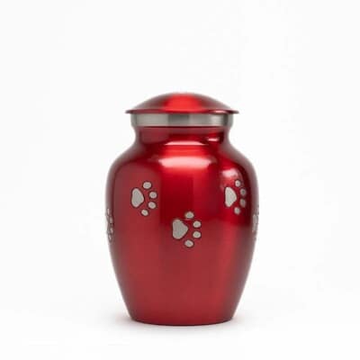 Clifford Red Small Metal Pet Urn