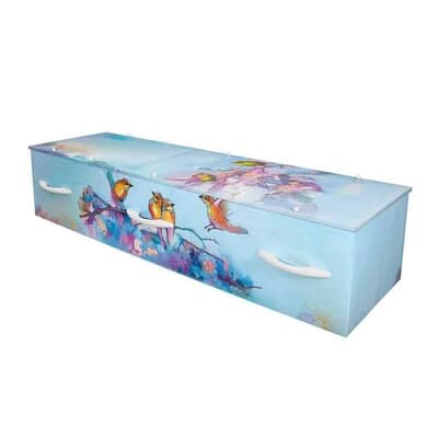 Color of Songbirds Cremation Casket