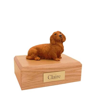 Dachshund Long Haired Brown Small Dog Urn