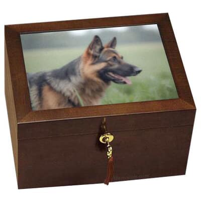 Eternal Friends Chest Cremation Urn