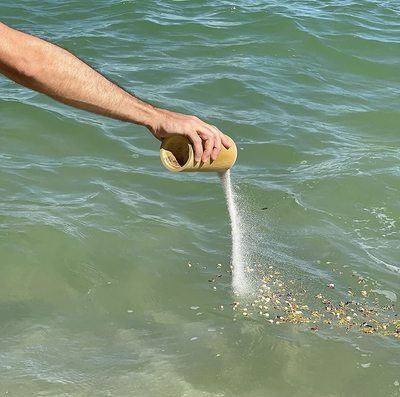 Family Bamboo Scattering Tubes