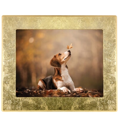 Gold Photo Frame Cremation Urn