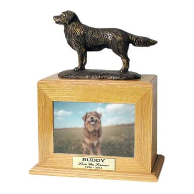 Golden Years Picture Pet Cremation Urns