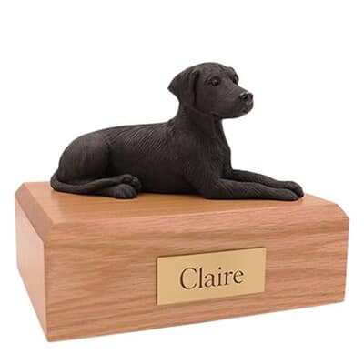 Great Dane Ears Down Large Dog Urn
