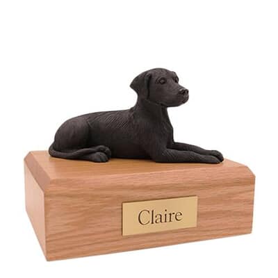 Great Dane Ears Down Medium Dog Urn