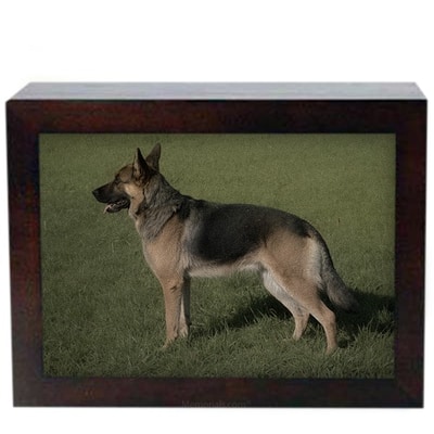 Large Photo Frame Cremation Urn