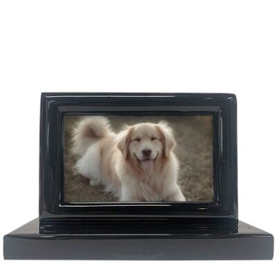 My Best Friend Black Picture Urn