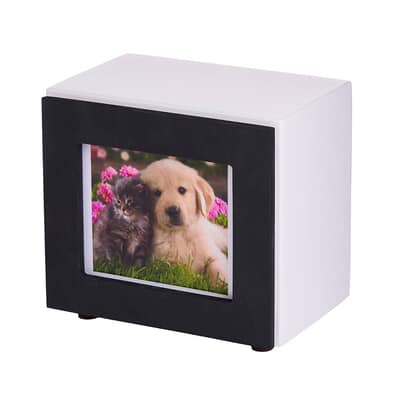 Mystic Small Photo Pet Urn