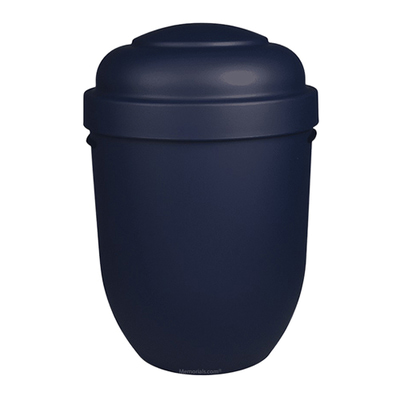 Night Reflection Biodegradable Urn