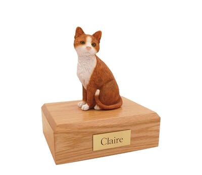 Orange & White X Large Cat Cremation Urn