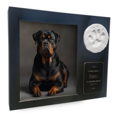 Paw Print Photo Medium Black Pet Urn