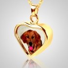 Heart Pet Picture Cremation Pendant II