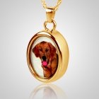 Oval Pet Picture Cremation Pendant II