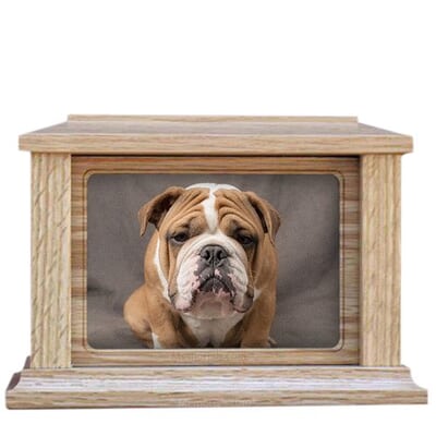 Pet Rectangle Picture Cremation Urn Large