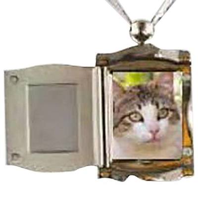 Pet Silver Picture Pendant