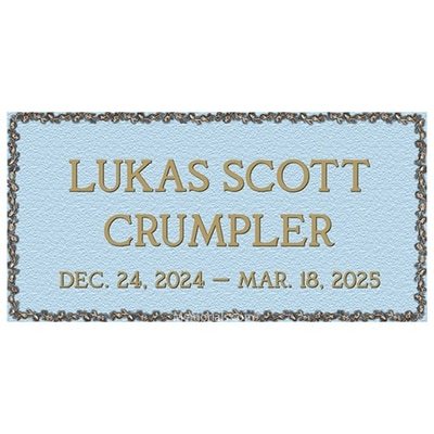 Petite Rose Bronze Plaque 20 x 10