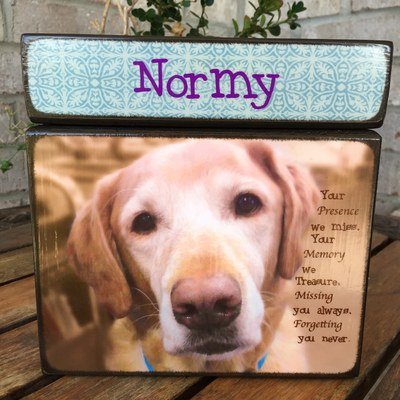 Photo Cube Large Pet Urn With Photo Lid 