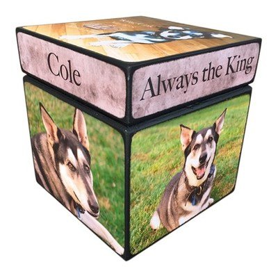 Photo Cube Medium Pet Urn