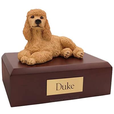Poodle Apricot Laying Dog Urns