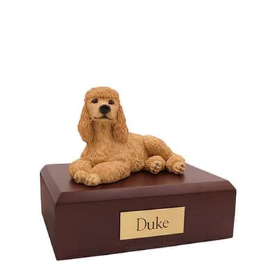 Poodle Apricot Laying Small Dog Urn