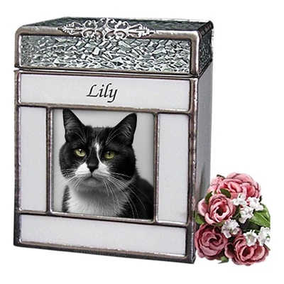 Purity Glass Small Photo Pet Urn