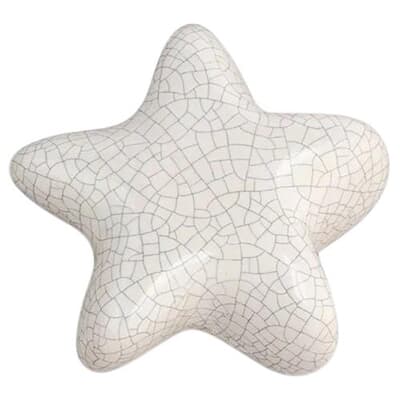 Sea Star Keepsake Urn For Ashes