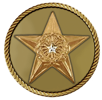 Silver Star Plain Medallion