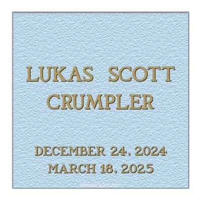 Small Bronze Plaque