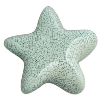 Starfish Keepsake Urn For Ashes