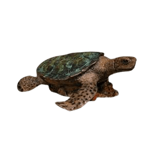 Sea Turtle Bronze Cremation Urn