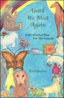 Until We Meet Again Book