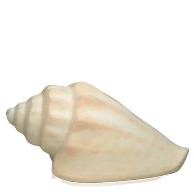 Sea Shell Porcelain Clay Cremation Urn